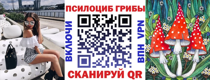 MEGA ONION  Лобня  Псилоцибиновые грибы GOLDEN TEACHER 