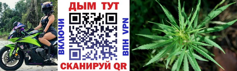 Каннабис план  что такое   Лобня 